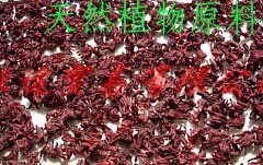 dried  roselle for sell wholesale