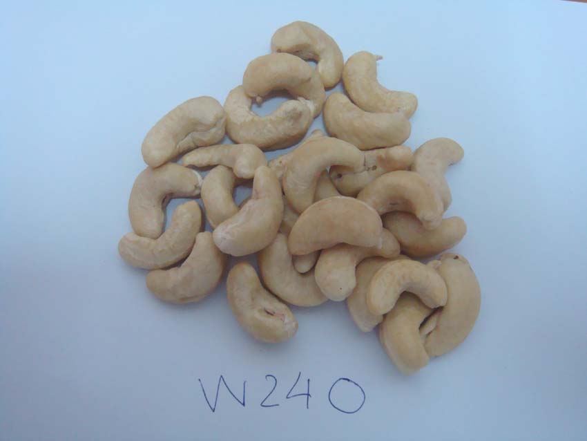 Raw Cashew Nuts & Roasted Cashew Nuts | Dried Fruits | W240 Cashew Nuts Suppliers | W320 Cashew Nut Exporters |Buy  WW230 Cashew Nut