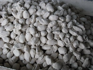 Caustic Calcined Magnesite