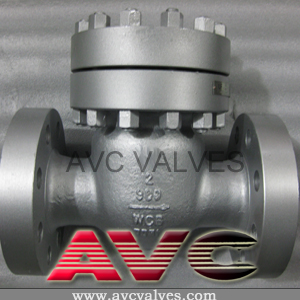 AVC Cast Steel Swing Check Valve