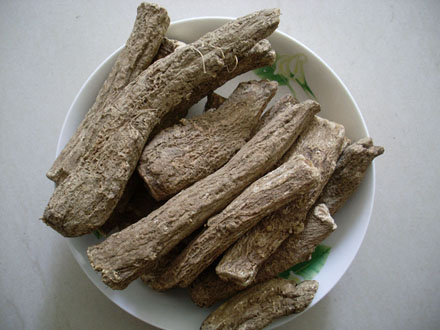 COSTUS ROOT