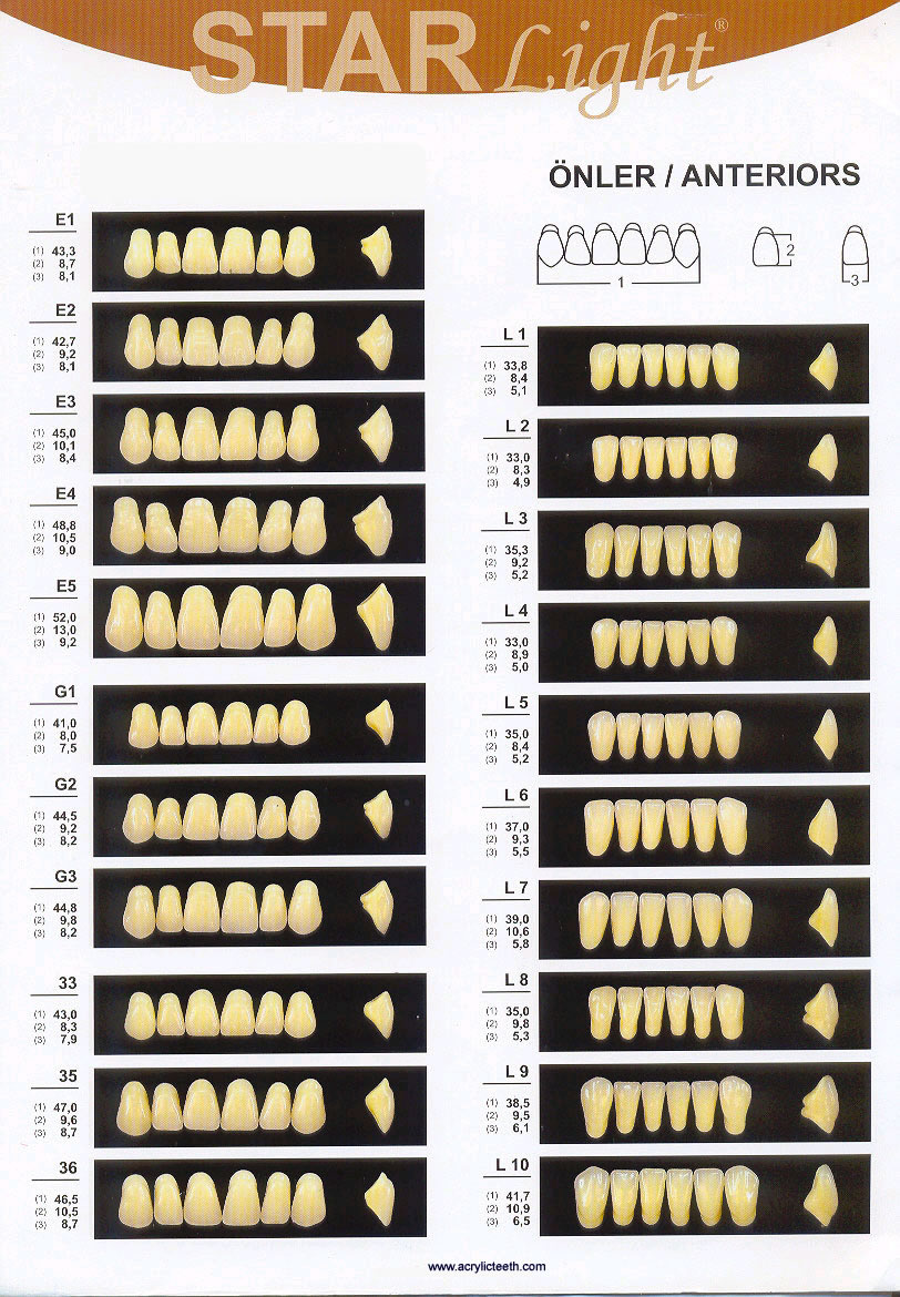 Two Layered Acrylic Teeth