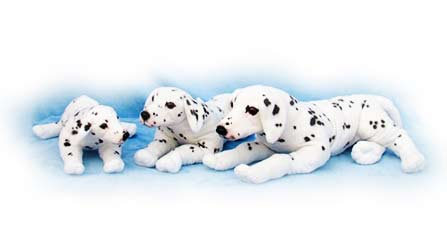 Dalmatian