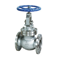 API Globe Valve