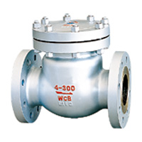 API Check Valve