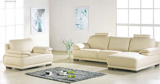 leather sofa(8041)