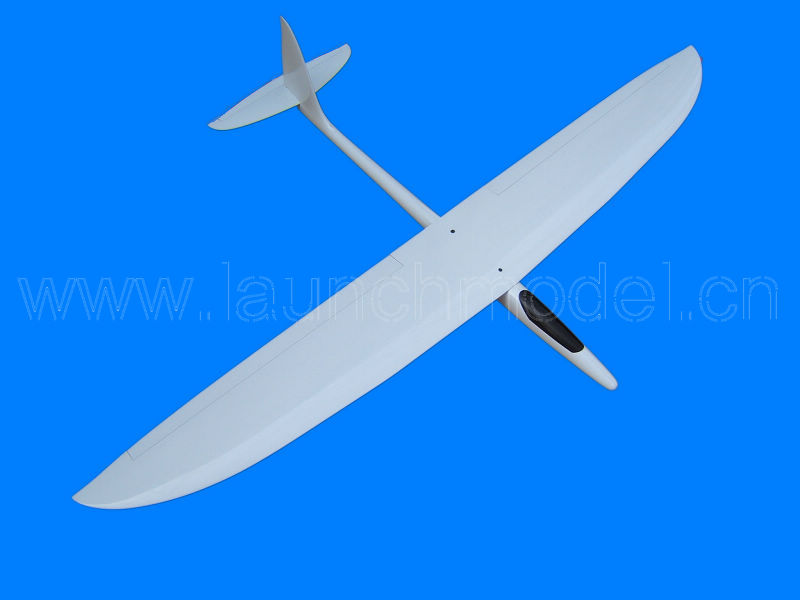 RC glider Flying Fish