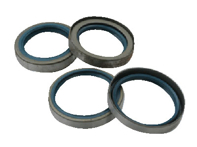 Oil Seal