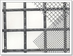 crimped wire mesh