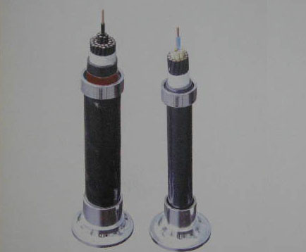 Plastic insulated control cables