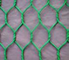 hexagonal wire mesh