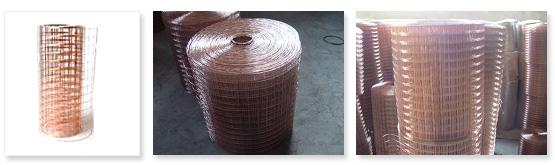 welded wire mesh ( copper coated iron wire mesh )