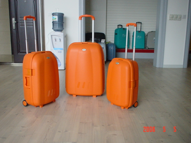 PP luggage set