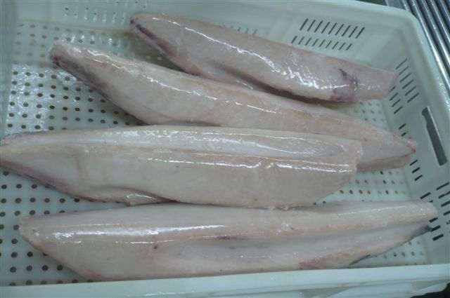 Frozen Albacore Loin