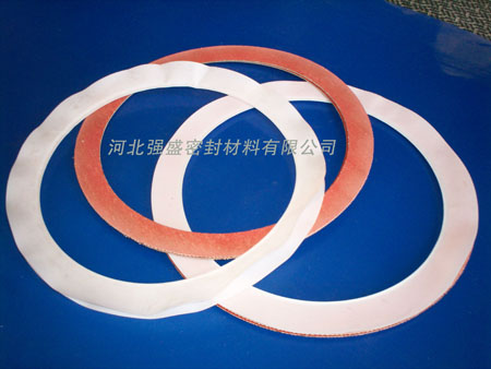 PTFE Envelope Gasket