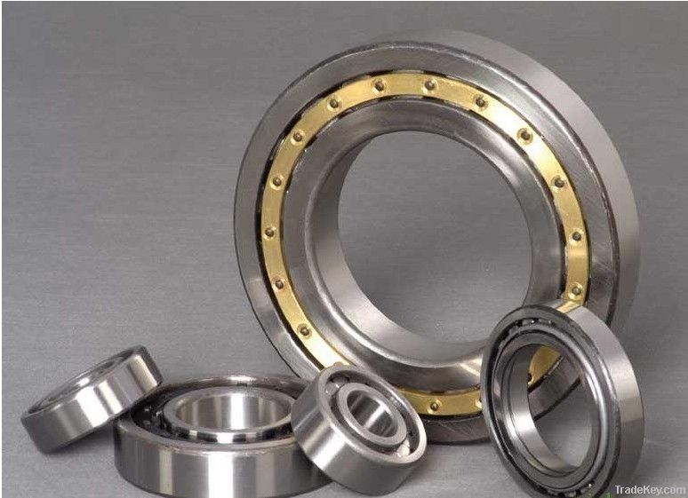 Cylindrical Roller Bearing