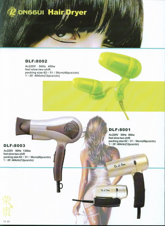 hair dryer from wenzhou