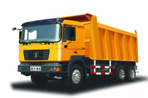 Dump Truck (SX3162BL381)