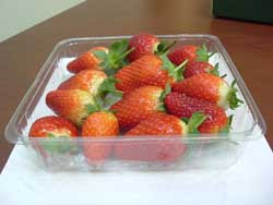 strawberry