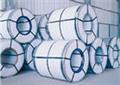 Galvanized steel coils