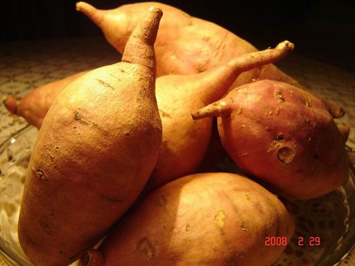 mashed sweet potato