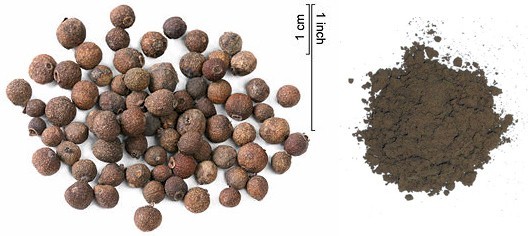 ORGANIC ALLSPICE