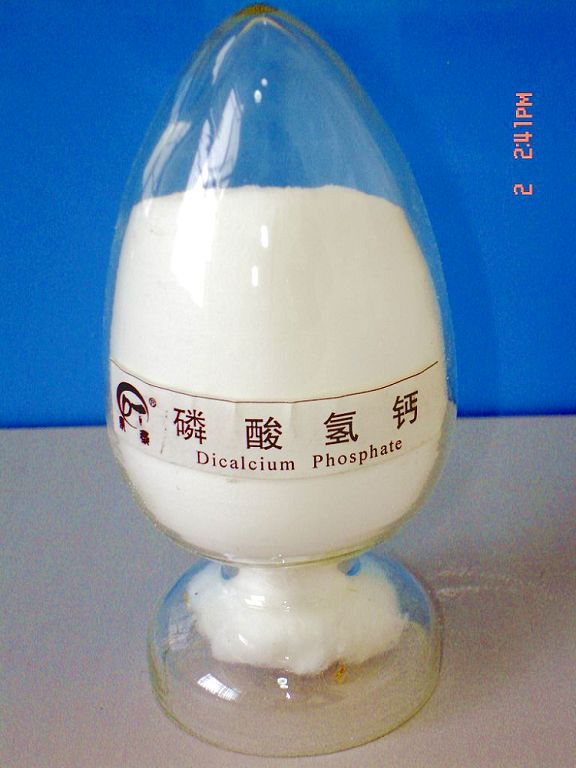 Dicalcium Phosphate(Food Additives)