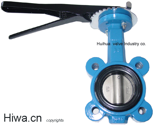 lug type buterfly valve
