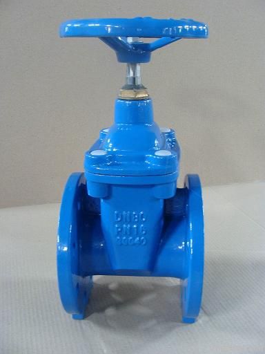 resilient seated gate valve