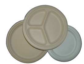 Biodegradable Plates w/ Sections