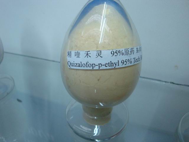 Quizailofop-p-ethyl