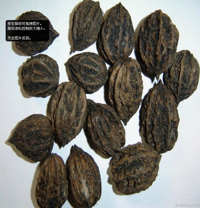 walnut