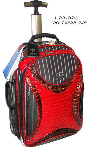 trolley luggage, luggage case, trolley bag
