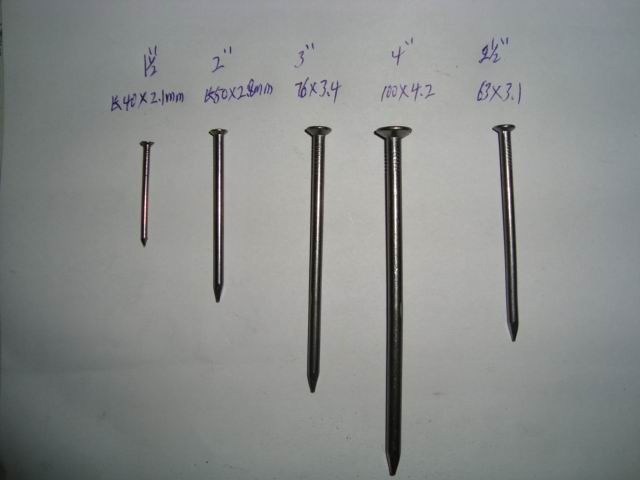 sell  common round nails