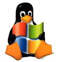 Linux and Windows Web Hosting