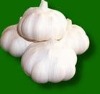 sell garlic