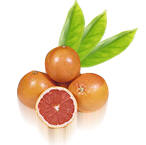 Grapefruit Group