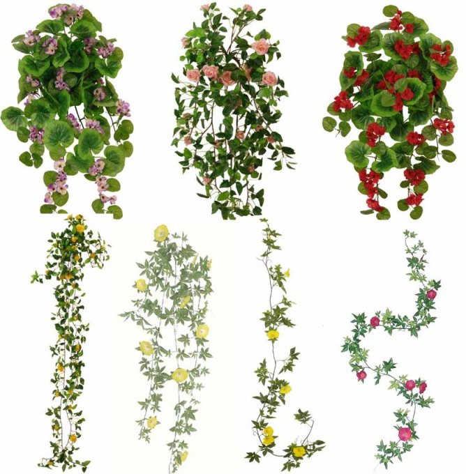 Artificial Plants
