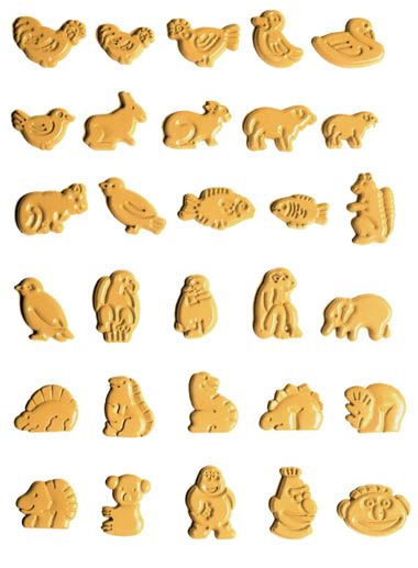 hard/cracker biscuits molds