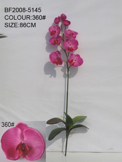 artificial flower of phalaenopsis orchid