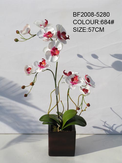 artificial flower of phalaenopsis landscape