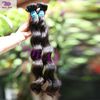 Wholesale processed machine weft made 100% human hair weft