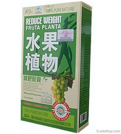 Herbal Fruta Planta Weight Loss Capsules