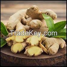 Fresh Raw Ginger