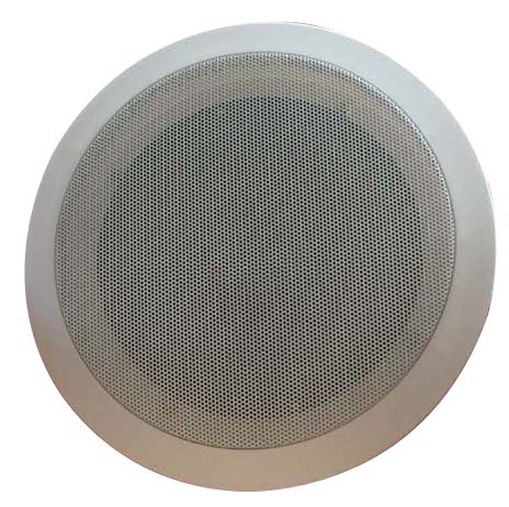 In Ceiling In Wall speaker