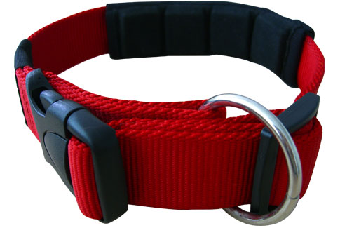 nylon pet collar