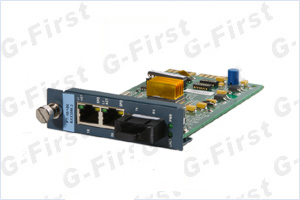 10/100M Stand-Alone Dual-Ethernet-Port Media Converter (Dual Fiber)