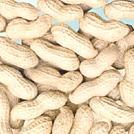 Peanut in shell, Peanut kernels