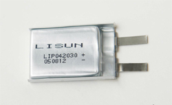 Polymer Lithium -Ion Battery