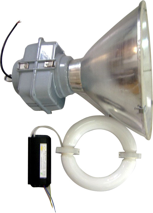 ELECTRODELESS DISCHARGE LAMP